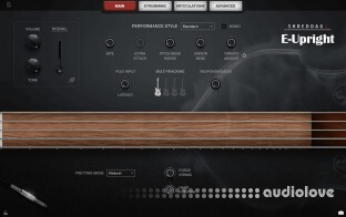 Impact Soundworks Shreddage 3.5 E-Upright