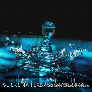 Se1ene Waterbass Samplepack