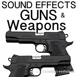 Holy Cow Sound Effects Group Guns and Weapons Sound Effects