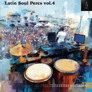 Rhythm Science Latin Soul Percs Vol.4