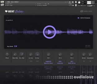 Sample Logic HeartBeat Guitars