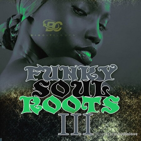 Big Citi Loops Funky Soul Roots 3