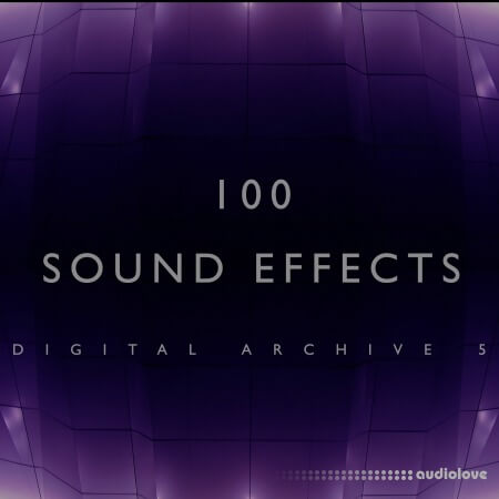 The Digital Sound Effects Group 100 Sound Effects Digital Archive 5