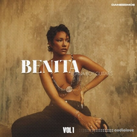 Daneemoe BENITA Burna Boy Guitars Vol.1