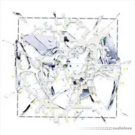Cryptic Anomaly [ Pre-order ]
