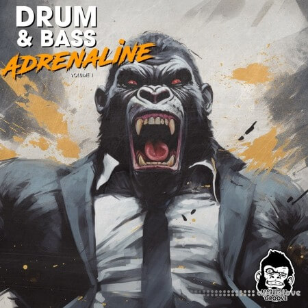 Vanilla Groove Studios Drum And Bass Adrenaline Vol 1