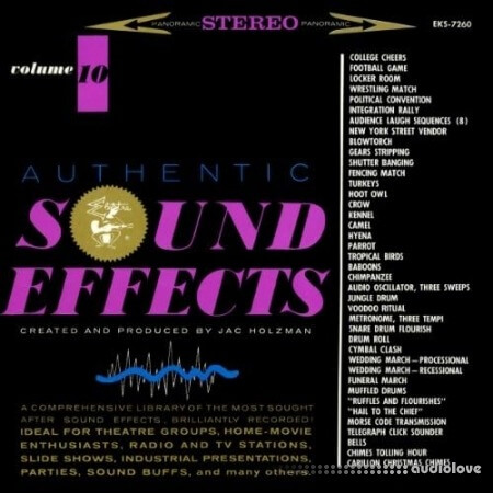 Authentic Sound Effects Vol.10