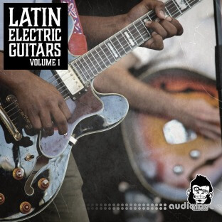 Vanilla Groove Studios Latin Electric Guitars Vol 1