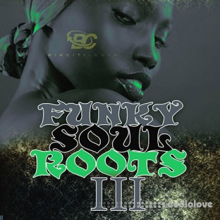 Big Citi Loops Funky Soul Roots 3