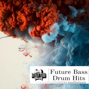 Rankin Audio Future Bass Drum Hits
