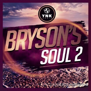 YnK Audio BrysonS Soul 2