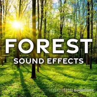 Sound Ideas Forest Sound Effects