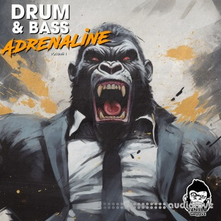 Vanilla Groove Studios Drum And Bass Adrenaline Vol 1