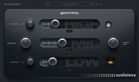 In The Mix Bandwidth