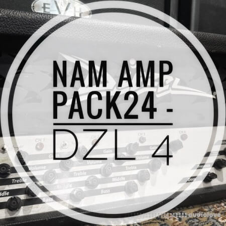 mirrorprofiles NAM A2 Amp Pack 24 DZL 4