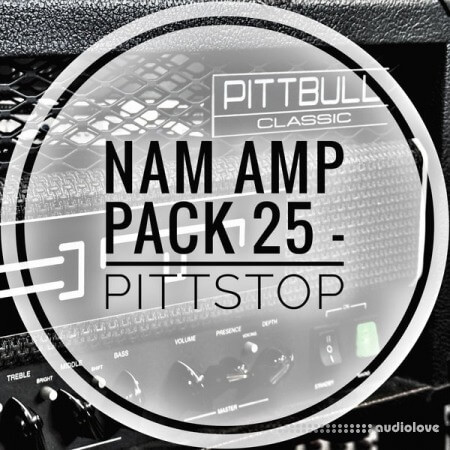 mirrorprofiles NAM A2 Amp Pack 25 PITTSTOP