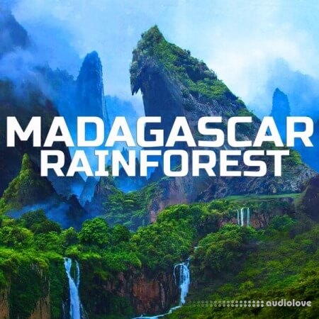 Madagascar Soundscapes Madagascar Rainforest