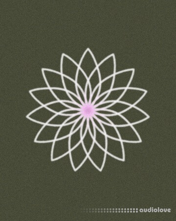 Anx Oneness A Creative Library