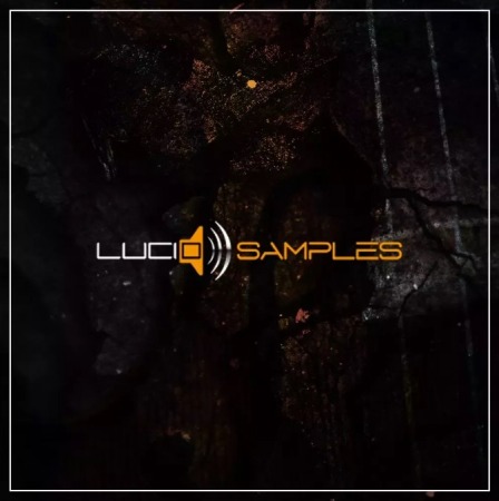 LucidSamples Pack for MOTU