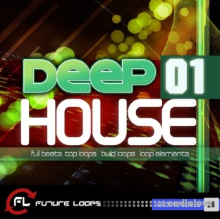 Future Loops Deep House 01