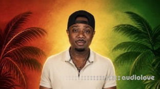 Udemy Reggae Piano And Organ Shuffle Courses