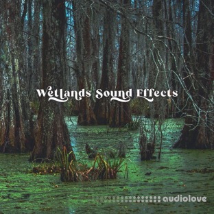 Close to Nature Music Ensemble Wetlands Sound Effects