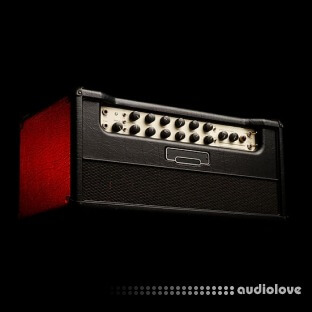 Amalgam Captures MES LS ToneX V2 CAB