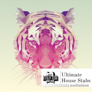 Rankin Audio Ultimate House Stabs
