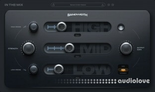 In The Mix Bandwidth