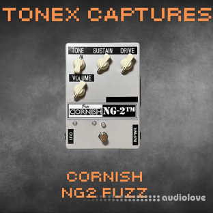 DPE Pedals Cornish NG2 ToneX