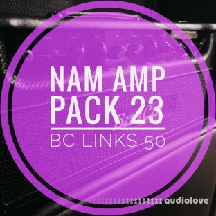 mirrorprofiles NAM A2 Amp Pack 24 DZL 4