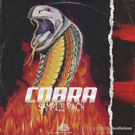 Atlas Audio Cobra
