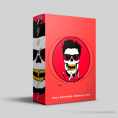 Sali Records Production Drum Kit