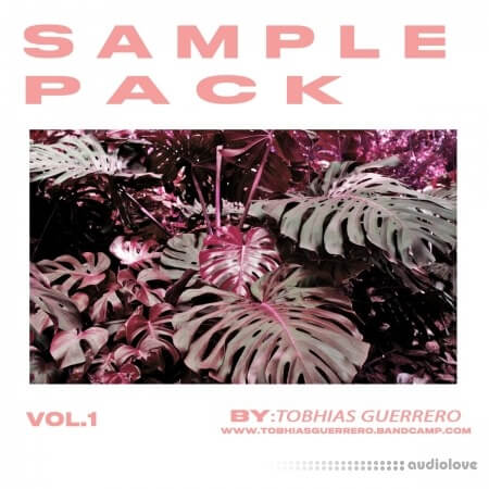 Tobhias Guerrero Sample Pack (Loops Tools)