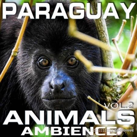 Animal Planet FX Paraguay Animals Ambience Vol.2