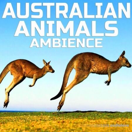 Cloud Nine Records Australian Animals Ambience