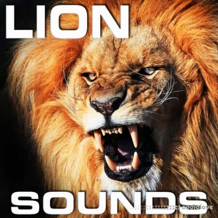 Cloud Nine Records Lion Sounds