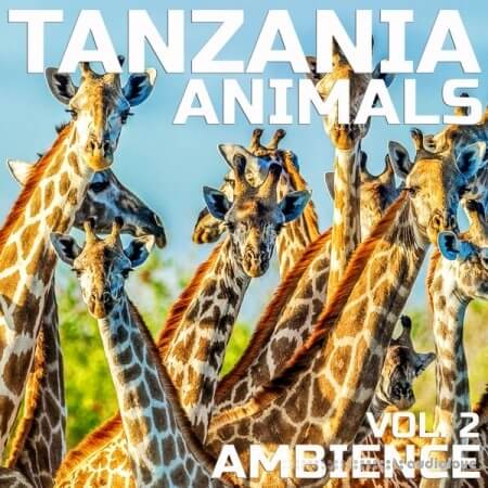 Cloud Nine Records Tanzania Animals Ambience Vol.2