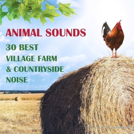 Background Music Records Animal Sounds 30 Best Village Farm and Countryside Noise from Europe