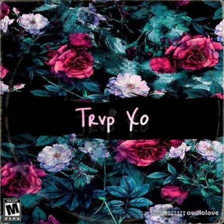 Major Loops Trvp Xo
