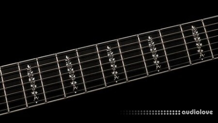 Udemy FretPro Fretboard in Octaves Technique