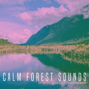 Rest and Relax Nature Sounds Calm Forest Sounds