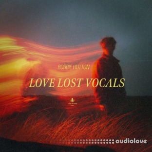 Black Octopus Sound Love Lost Vocals by Robbie Hutton
