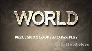 Bluezone World Percussion Loops and Samples