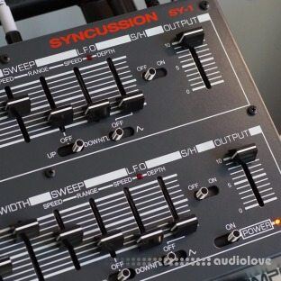 Dc11 Syncussion SY-1 Sample Pack
