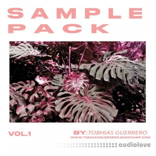 Tobhias Guerrero Sample Pack (Loops Tools)
