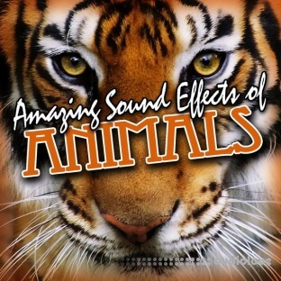 SoundFx Amazing Sound Effects of Animals