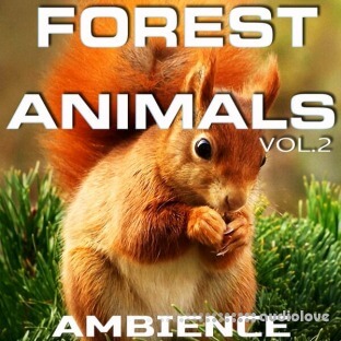 Animals Nature Sounds Forest Animals Ambience Vol.2