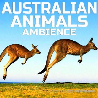 Cloud Nine Records Australian Animals Ambience