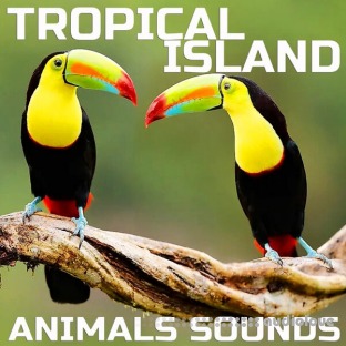 Cloud Nine Records Tropical Island Animals Sounds
